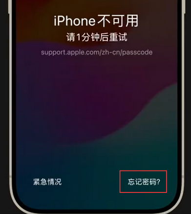 清新苹果手机密码维修分享iPhone忘记了刚设置的密码 